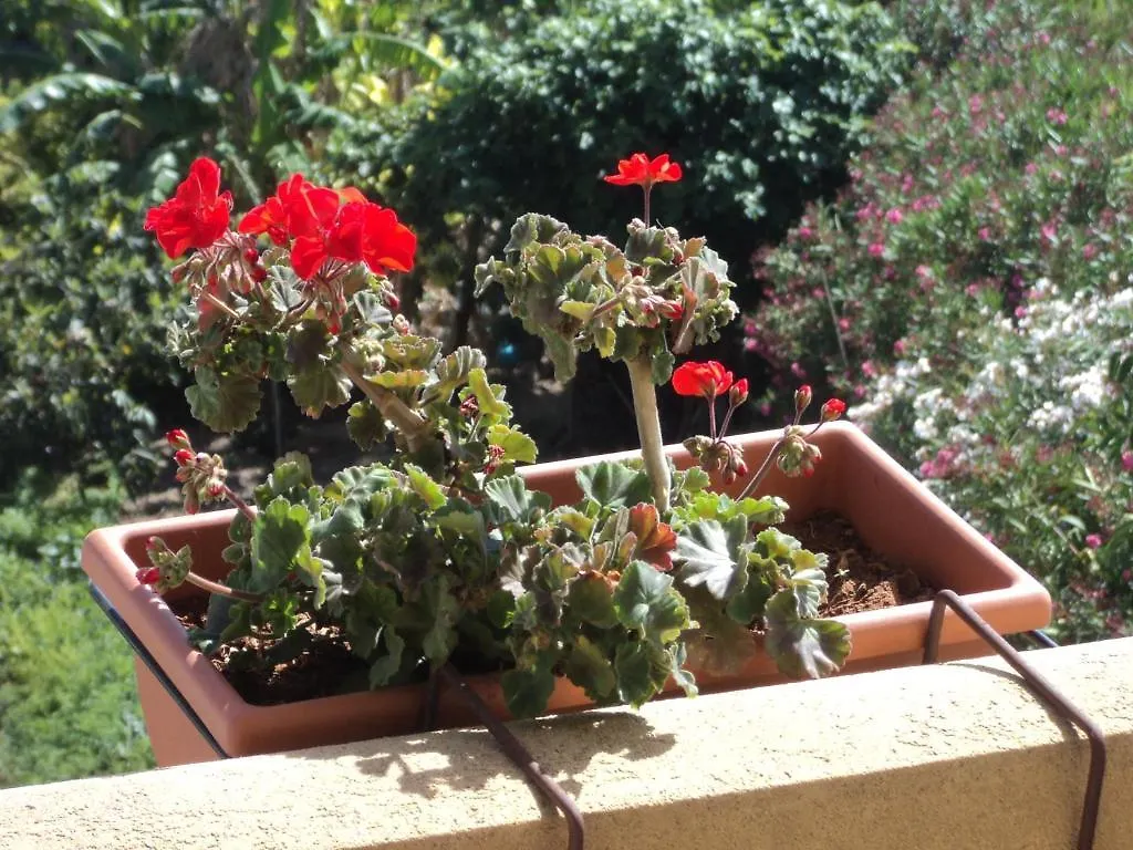 *** Bed & Breakfast B&B Sbarco Dei 1000 Marsala Italy